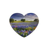 6 Pcs Car Air Fresheners,Funny Hanging Car Air Fresheners Texas Bluebonnets Scenery Cute Long Lasting Scented Mirror Hanging Decoration Ornaments Gift Interior Decor Accessories For Men Women