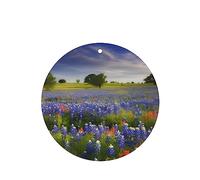 6 Pcs Car Air Fresheners,Funny Hanging Car Air Fresheners Texas Bluebonnets Scenery Cute Long Lasting Scented Mirror Hanging Decoration Ornaments Gift Interior Decor Accessories For Men Women