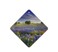 6 Pcs Car Air Fresheners,Funny Hanging Car Air Fresheners Texas Bluebonnets Scenery Cute Long Lasting Scented Mirror Hanging Decoration Ornaments Gift Interior Decor Accessories For Men Women