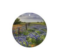 6 Pcs Car Air Fresheners,Funny Hanging Car Air Fresheners Texas Bluebonnets Scenery Cute Long Lasting Scented Mirror Hanging Decoration Ornaments Gift Interior Decor Accessories For Men Women