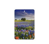 6 Pcs Car Air Fresheners,Funny Hanging Car Air Fresheners Texas Bluebonnets Scenery Cute Long Lasting Scented Mirror Hanging Decoration Ornaments Gift Interior Decor Accessories For Men Women