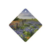 6 Pcs Car Air Fresheners,Funny Hanging Car Air Fresheners Texas Bluebonnets Scenery Cute Long Lasting Scented Mirror Hanging Decoration Ornaments Gift Interior Decor Accessories For Men Women