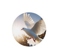 6 Pcs Car Air Fresheners,Funny Hanging Car Air Fresheners White Dove Flying In The Sun Cute Long Lasting Scented Mirror Hanging Decoration Ornaments Gift Interior Decor Accessories For Men Women