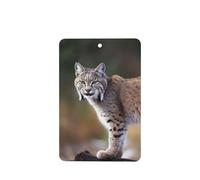 6 Pcs Car Air Fresheners,Funny Hanging Car Air Fresheners Wild Bobcat Cute Long Lasting Scented Mirror Hanging Decoration Ornaments Gift Interior Decor Accessories For Men Women