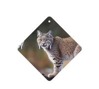 6 Pcs Car Air Fresheners,Funny Hanging Car Air Fresheners Wild Bobcat Cute Long Lasting Scented Mirror Hanging Decoration Ornaments Gift Interior Decor Accessories For Men Women