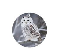 6 Pcs Car Air Fresheners,Funny Hanging Car Air Fresheners Winter White Owl Cute Long Lasting Scented Mirror Hanging Decoration Ornaments Gift Interior Decor Accessories For Men Women
