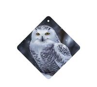 6 Pcs Car Air Fresheners Hanging Air Freshener Fragrance Scented Cards Car Aromatherapy Tablets Arctic Owl Car Interior Mirror Pendant Gifts for Women Men