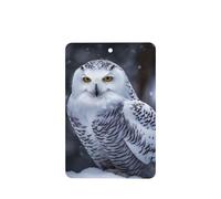 6 Pcs Car Air Fresheners Hanging Air Freshener Fragrance Scented Cards Car Aromatherapy Tablets Arctic Owl Car Interior Mirror Pendant Gifts for Women Men