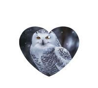 6 Pcs Car Air Fresheners Hanging Air Freshener Fragrance Scented Cards Car Aromatherapy Tablets Arctic Owl Car Interior Mirror Pendant Gifts for Women Men