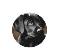 6 Pcs Car Air Fresheners Hanging Air Freshener Fragrance Scented Cards Car Aromatherapy Tablets Black Labrador Puppy Car Freshener Car Interior Mirror Pendant Gifts for Women Men