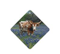 6 Pcs Car Air Fresheners Hanging Air Freshener Fragrance Scented Cards Car Aromatherapy Tablets Bluebonnet Longhorn Car Interior Mirror Pendant Gifts for Women Men