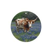 6 Pcs Car Air Fresheners Hanging Air Freshener Fragrance Scented Cards Car Aromatherapy Tablets Bluebonnet Longhorn Car Interior Mirror Pendant Gifts for Women Men