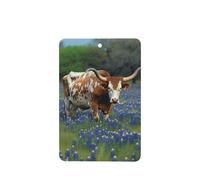 6 Pcs Car Air Fresheners Hanging Air Freshener Fragrance Scented Cards Car Aromatherapy Tablets Bluebonnet Longhorn Car Interior Mirror Pendant Gifts for Women Men