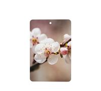 6 Pcs Car Air Fresheners Hanging Air Freshener Fragrance Scented Cards Car Aromatherapy Tablets Cherry Blossom Car Interior Mirror Pendant Gifts for Women Men