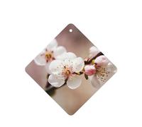 6 Pcs Car Air Fresheners Hanging Air Freshener Fragrance Scented Cards Car Aromatherapy Tablets Cherry Blossom Car Interior Mirror Pendant Gifts for Women Men