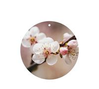 6 Pcs Car Air Fresheners Hanging Air Freshener Fragrance Scented Cards Car Aromatherapy Tablets Cherry Blossom Car Interior Mirror Pendant Gifts for Women Men