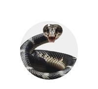 6 Pcs Car Air Fresheners Hanging Air Freshener Fragrance Scented Cards Car Aromatherapy Tablets Cobra Snake Car Freshener Car Interior Mirror Pendant Gifts for Women Men