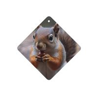 6 Pcs Car Air Fresheners Hanging Air Freshener Fragrance Scented Cards Car Aromatherapy Tablets Cute Squirrel Car Interior Mirror Pendant Gifts for Women Men