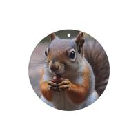 6 Pcs Car Air Fresheners Hanging Air Freshener Fragrance Scented Cards Car Aromatherapy Tablets Cute Squirrel Car Freshener Car Interior Mirror Pendant Gifts for Women Men