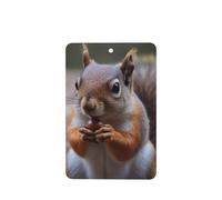 6 Pcs Car Air Fresheners Hanging Air Freshener Fragrance Scented Cards Car Aromatherapy Tablets Cute Squirrel Car Interior Mirror Pendant Gifts for Women Men