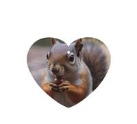 6 Pcs Car Air Fresheners Hanging Air Freshener Fragrance Scented Cards Car Aromatherapy Tablets Cute Squirrel Car Interior Mirror Pendant Gifts for Women Men
