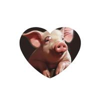 6 Pcs Car Air Fresheners Hanging Air Freshener Fragrance Scented Cards Car Aromatherapy Tablets Foolish Cute Animal Car Freshener Car Interior Mirror Pendant Gifts for Women Men