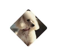 6 Pcs Car Air Fresheners Hanging Air Freshener Fragrance Scented Cards Car Aromatherapy Tablets French poodle Car Interior Mirror Pendant Gifts for Women Men
