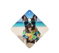 6 Pcs Car Air Fresheners Hanging Air Freshener Fragrance Scented Cards Car Aromatherapy Tablets french bulldog summer Car Freshener Car Interior Mirror Pendant Gifts for Women Men