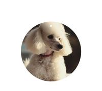 6 Pcs Car Air Fresheners Hanging Air Freshener Fragrance Scented Cards Car Aromatherapy Tablets French poodle Car Interior Mirror Pendant Gifts for Women Men