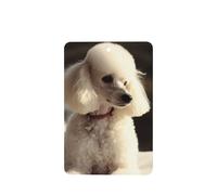 6 Pcs Car Air Fresheners Hanging Air Freshener Fragrance Scented Cards Car Aromatherapy Tablets French poodle Car Interior Mirror Pendant Gifts for Women Men