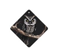 6 Pcs Car Air Fresheners Hanging Air Freshener Fragrance Scented Cards Car Aromatherapy Tablets Late Night Owl Car Freshener Car Interior Mirror Pendant