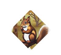 6 Pcs Car Air Fresheners Hanging Air Freshener Fragrance Scented Cards Car Aromatherapy Tablets Nut-eating squirrel Car Freshener Car Interior Mirror Pendant Gifts for Women Men
