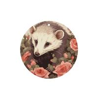 6 Pcs Car Air Fresheners Hanging Air Freshener Fragrance Scented Cards Car Aromatherapy Tablets Opossum and Roses Car Interior Mirror Pendant Gifts for Women Men