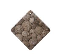 6 Pcs Car Air Fresheners Hanging Air Freshener Fragrance Scented Cards Car Aromatherapy Tablets Petoskey Stone Car Freshener Car Interior Mirror Pendant Gifts for Women Men