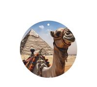 6 Pcs Car Air Fresheners Hanging Air Freshener Fragrance Scented Cards Car Aromatherapy Tablets Pyramid Camel Car Interior Mirror Pendant Gifts for Women Men