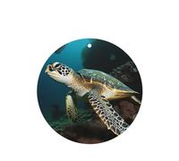 6 Pcs Car Air Fresheners Hanging Air Freshener Fragrance Scented Cards Car Aromatherapy Tablets Sea Turtle Car Freshener Car Interior Mirror Pendant Gifts for Women Men