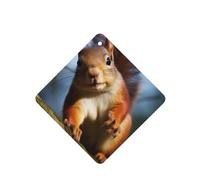 6 Pcs Car Air Fresheners Hanging Air Freshener Fragrance Scented Cards Car Aromatherapy Tablets Squirrel Funny Animal Car Freshener Car Interior Mirror Pendant Gifts for Women Men