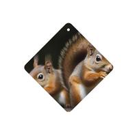 6 Pcs Car Air Fresheners Hanging Air Freshener Fragrance Scented Cards Car Aromatherapy Tablets Squirrel Animal Car Interior Mirror Pendant Gifts for Women Men