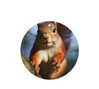 6 Pcs Car Air Fresheners Hanging Air Freshener Fragrance Scented Cards Car Aromatherapy Tablets Squirrel Funny Animal Car Freshener Car Interior Mirror Pendant Gifts for Women Men