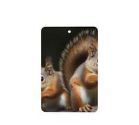 6 Pcs Car Air Fresheners Hanging Air Freshener Fragrance Scented Cards Car Aromatherapy Tablets Squirrel Animal Car Interior Mirror Pendant Gifts for Women Men