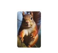 6 Pcs Car Air Fresheners Hanging Air Freshener Fragrance Scented Cards Car Aromatherapy Tablets Squirrel Funny Animal Car Freshener Car Interior Mirror Pendant Gifts for Women Men