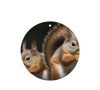 6 Pcs Car Air Fresheners Hanging Air Freshener Fragrance Scented Cards Car Aromatherapy Tablets Squirrel Animal Car Interior Mirror Pendant Gifts for Women Men