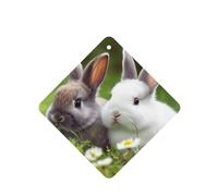 6 Pcs Car Air Fresheners Hanging Air Freshener Fragrance Scented Cards Car Aromatherapy Tablets Two Little Cute Rabbits Car Interior Mirror Pendant Gifts for Women Men