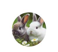 6 Pcs Car Air Fresheners Hanging Air Freshener Fragrance Scented Cards Car Aromatherapy Tablets Two Little Cute Rabbits Car Freshener Car Interior Mirror Pendant Gifts for Women Men
