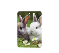 6 Pcs Car Air Fresheners Hanging Air Freshener Fragrance Scented Cards Car Aromatherapy Tablets Two Little Cute Rabbits Car Interior Mirror Pendant Gifts for Women Men