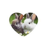 6 Pcs Car Air Fresheners Hanging Air Freshener Fragrance Scented Cards Car Aromatherapy Tablets Two Little Cute Rabbits Car Interior Mirror Pendant Gifts for Women Men