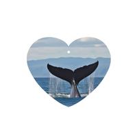 6 Pcs Car Air Fresheners Hanging Air Freshener Fragrance Scented Cards Car Aromatherapy Tablets Whale Tail Car Freshener Car Interior Mirror Pendant Gifts for Women Men