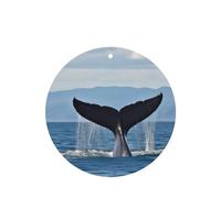 6 Pcs Car Air Fresheners Hanging Air Freshener Fragrance Scented Cards Car Aromatherapy Tablets Whale Tail Car Freshener Car Interior Mirror Pendant Gifts for Women Men