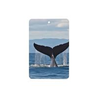 6 Pcs Car Air Fresheners Hanging Air Freshener Fragrance Scented Cards Car Aromatherapy Tablets Whale Tail Car Freshener Car Interior Mirror Pendant Gifts for Women Men