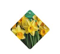 6 Pcs Car Air Fresheners Hanging Air Freshener Fragrance Scented Cards Car Aromatherapy Tablets Yellow Daffodils Flowers Car Interior Mirror Pendant Gifts for Women Men